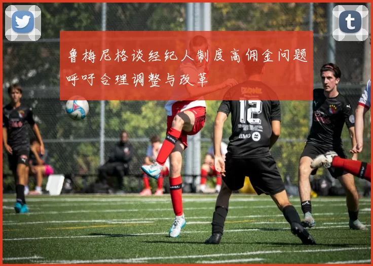 鲁梅尼格谈经纪人制度高佣金问题呼吁合理调整与改革