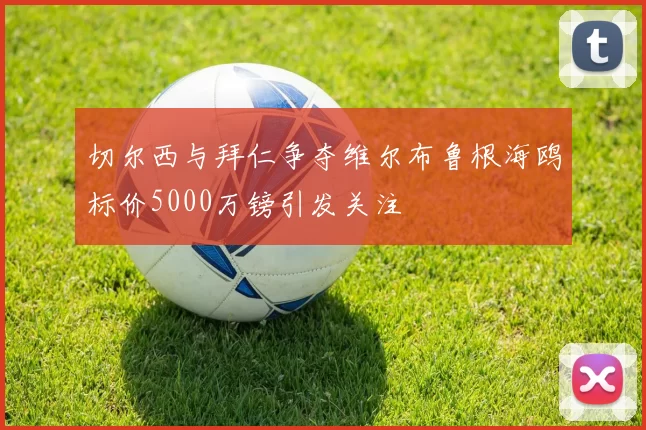 切尔西与拜仁争夺维尔布鲁根海鸥标价5000万镑引发关注