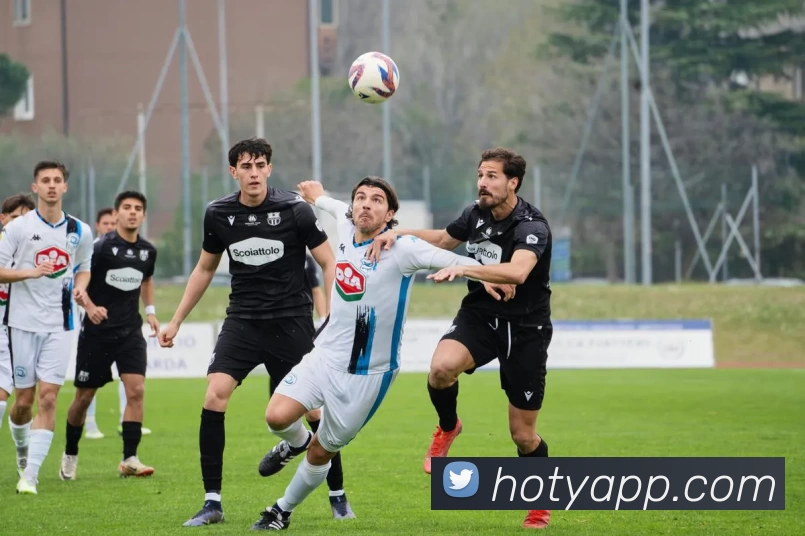 海鸥体育APP品牌故事