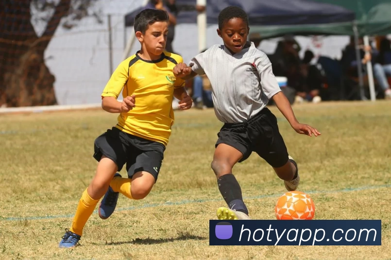 海鸥体育APP服务体系